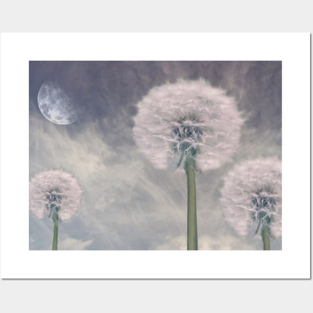 Landscape with dandelions Wall Art by rolffimages